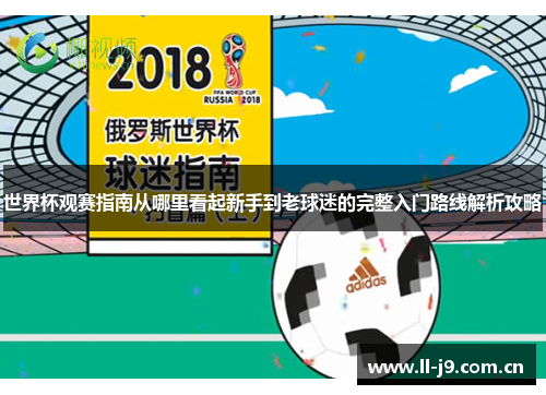 世界杯观赛指南从哪里看起新手到老球迷的完整入门路线解析攻略